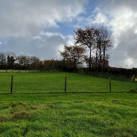 הוילה Bittadon Woodland View At Hewish Mill מראה חיצוני תמונה