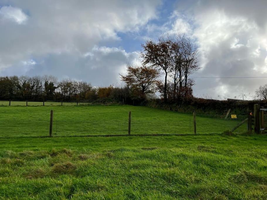 הוילה Bittadon Woodland View At Hewish Mill מראה חיצוני תמונה